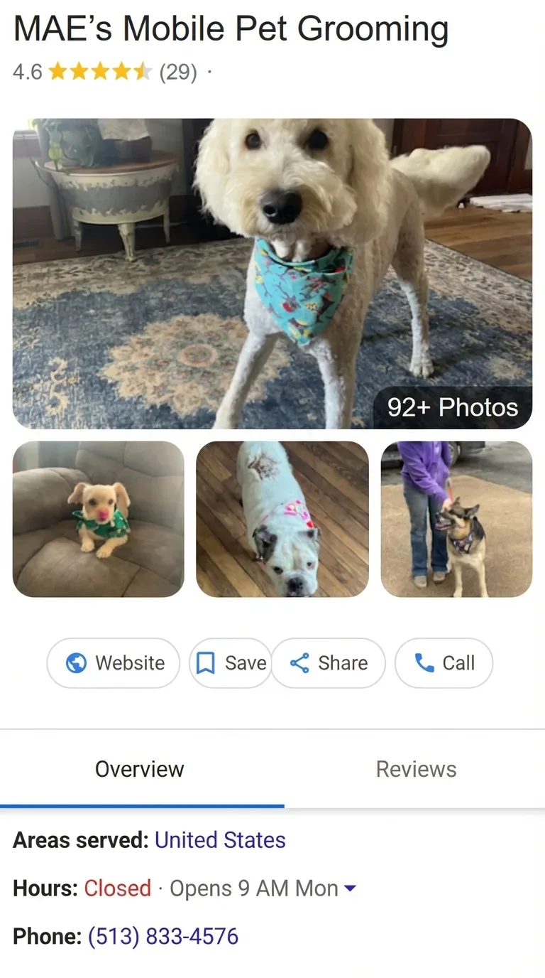 MAE's Mobile Pet Grooming Google Business Profile before
